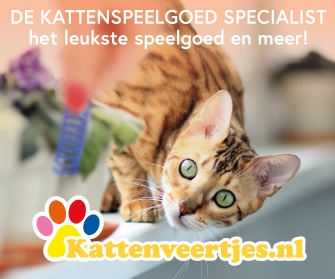 Kattenveertjes